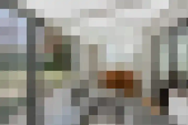 Lindanusstraat 2 Helden thumbnail 25