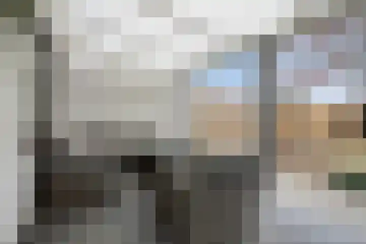 Lindanusstraat 2 Helden thumbnail 26