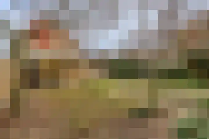 Lindanusstraat 2 Helden thumbnail 27
