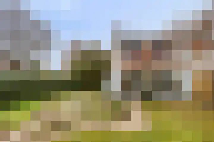 Lindanusstraat 2 Helden thumbnail 28