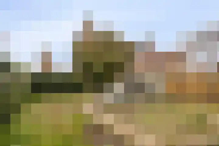 Lindanusstraat 2 Helden thumbnail 29