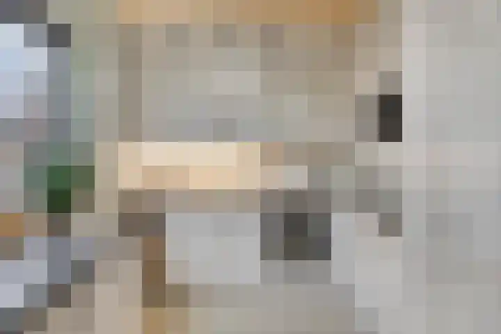 Lindanusstraat 2 Helden thumbnail 4
