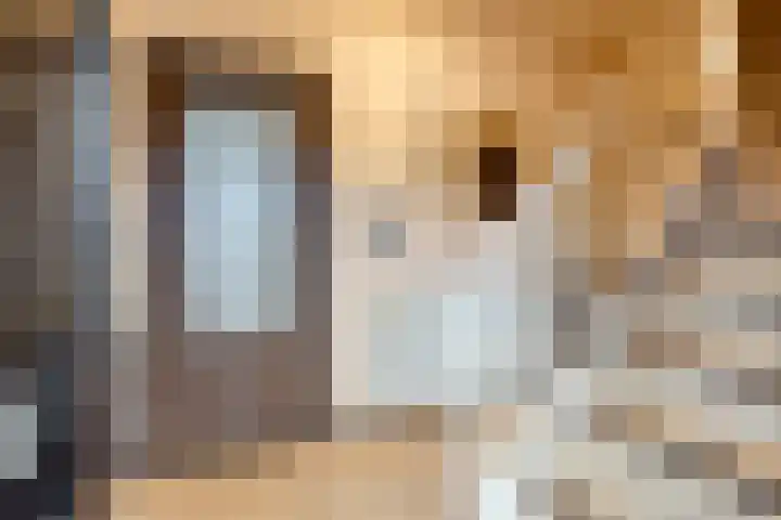 Lindanusstraat 2 Helden thumbnail 5
