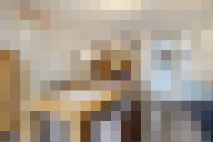 Lindanusstraat 27 Helden thumbnail 11