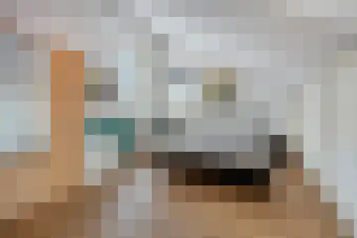 Lindanusstraat 27 Helden thumbnail 21