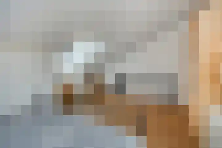 Lindanusstraat 27 Helden thumbnail 22