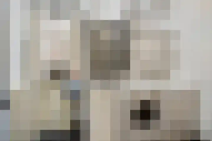 Lindanusstraat 27 Helden thumbnail 23
