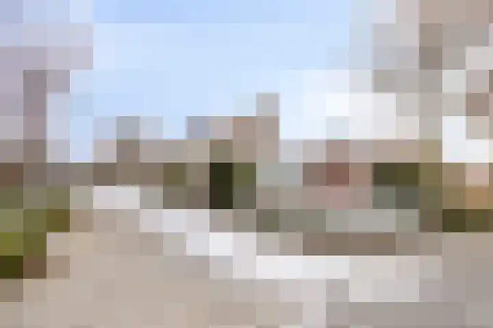 Lindanusstraat 27 Helden thumbnail 30