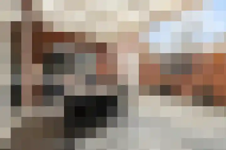 Lindanusstraat 27 Helden thumbnail 4