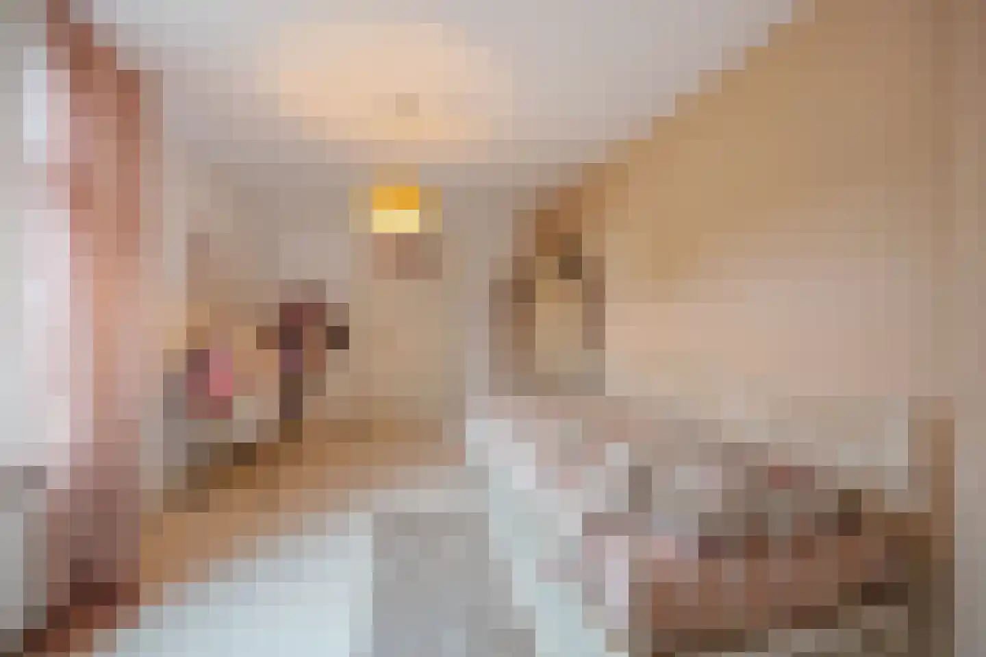 Lindanusstraat 28 Roermond thumbnail 24