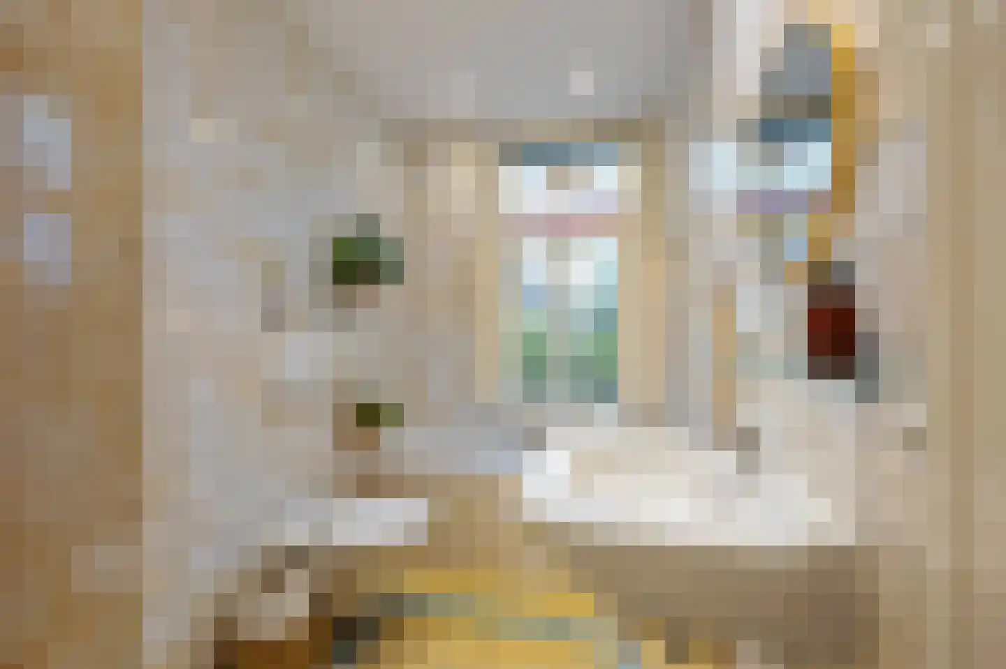 Lindanusstraat 28 Roermond thumbnail 29