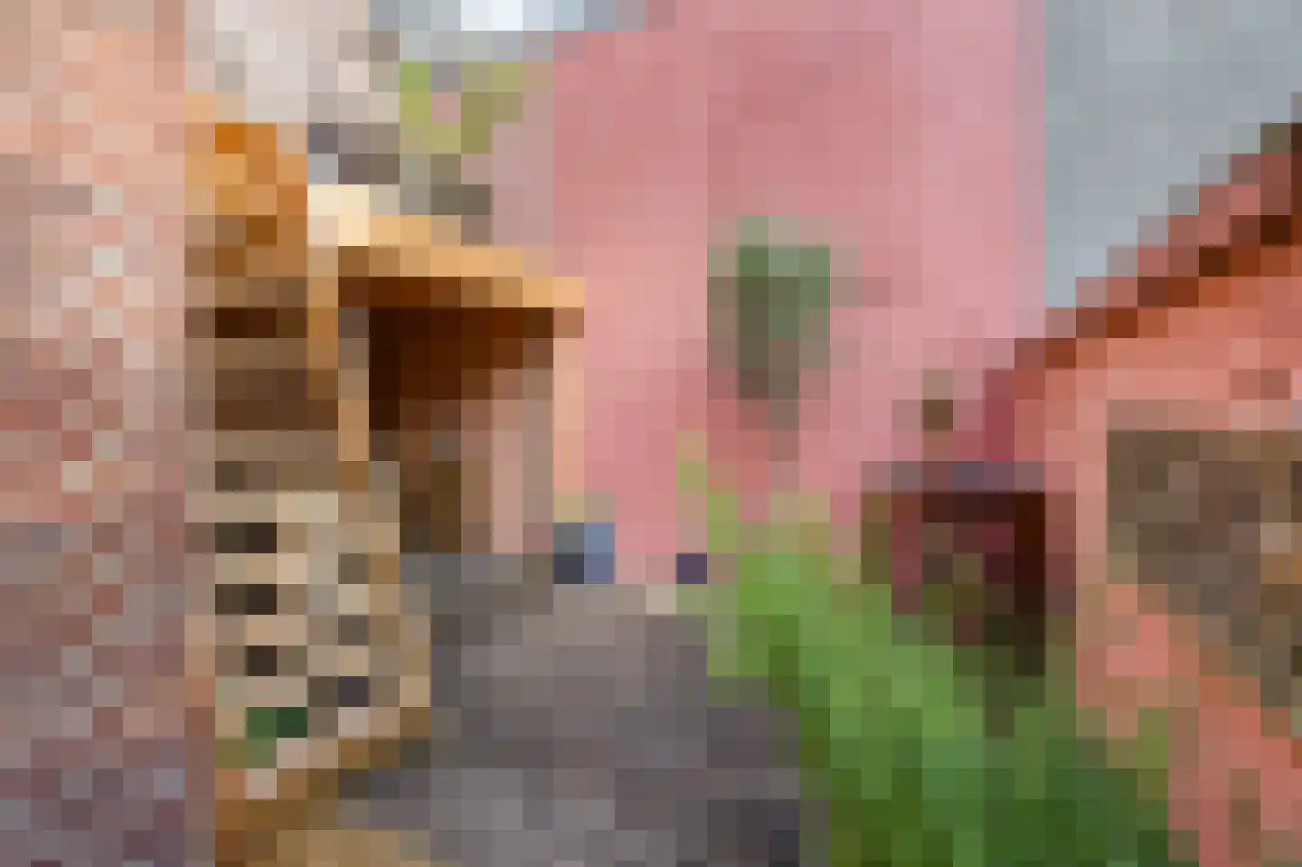 Lindanusstraat 28 Roermond thumbnail 43