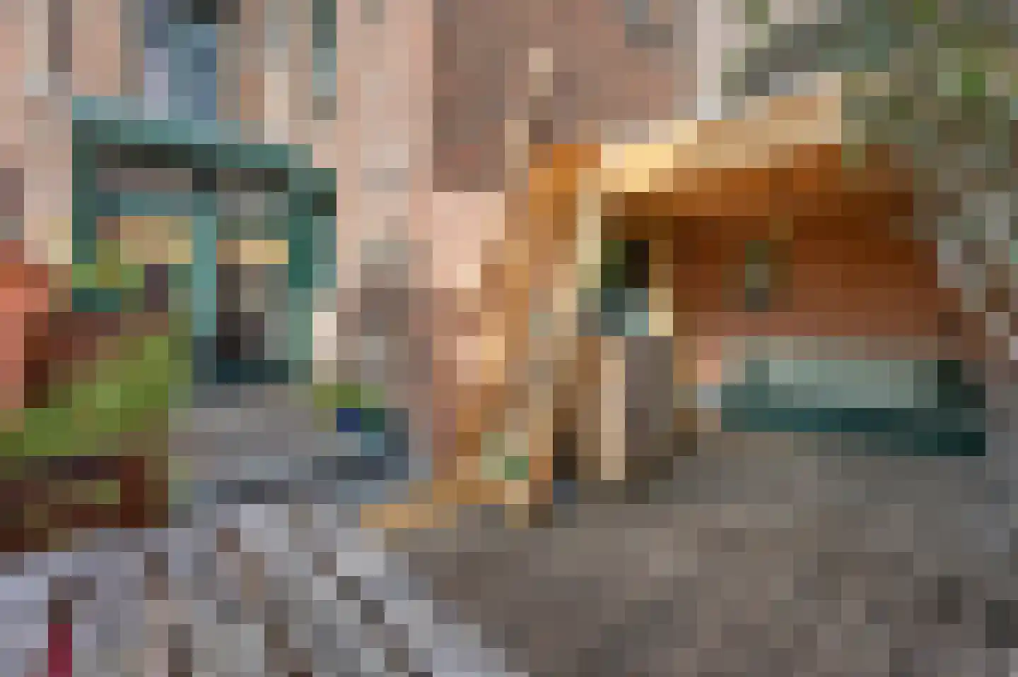 Lindanusstraat 28 Roermond thumbnail 44