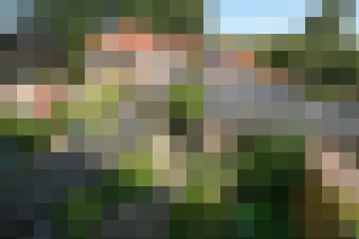 Lindanusstraat 42 Nijmegen thumbnail 22