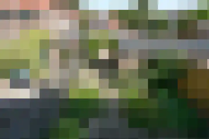Lindanusstraat 42 Nijmegen thumbnail 23