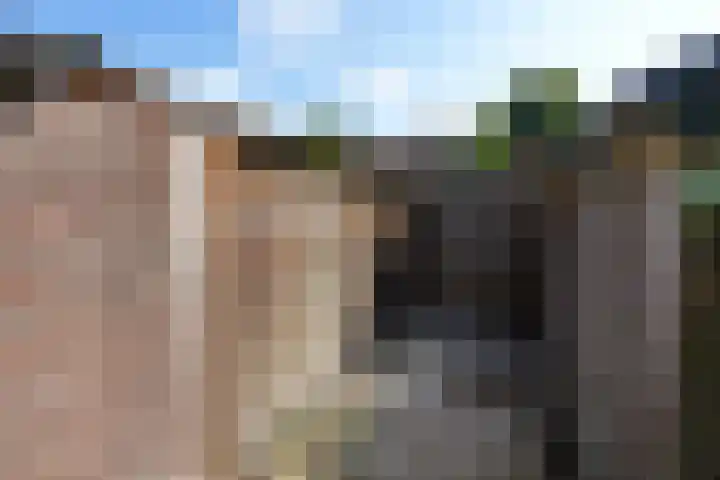 Lindanusstraat 42 Nijmegen thumbnail 26