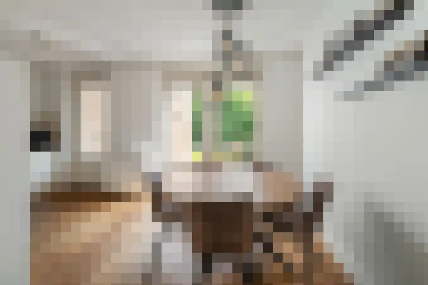 Lindberghsingel 22 Emmeloord thumbnail 22