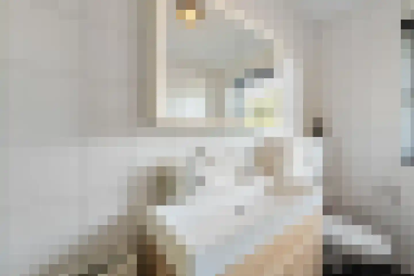 Lindberghsingel 22 Emmeloord thumbnail 37