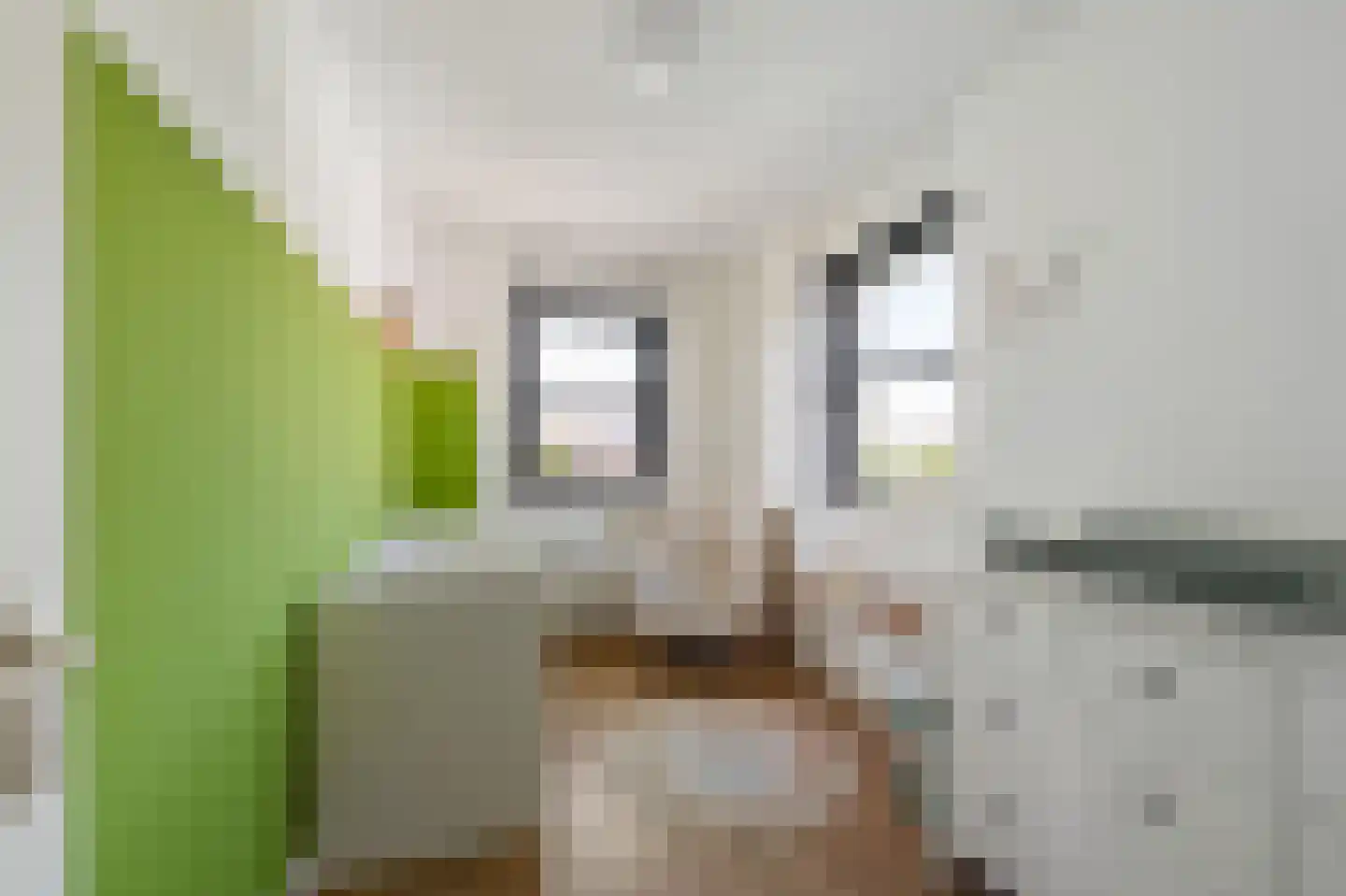 Lindberghsingel 22 Emmeloord thumbnail 39