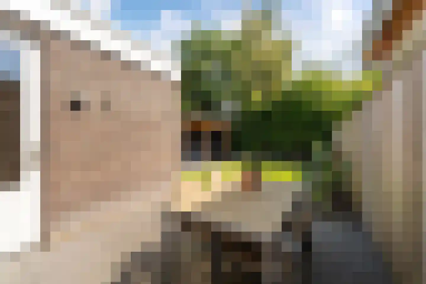Lindberghsingel 22 Emmeloord thumbnail 5