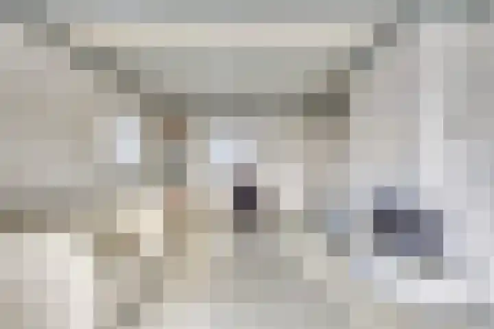 Linde 10 Mierlo thumbnail 13