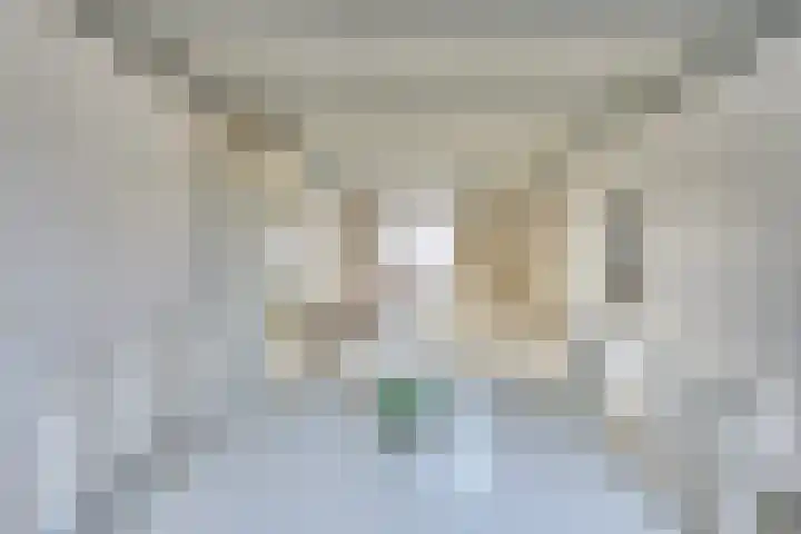 Linde 10 Mierlo thumbnail 17