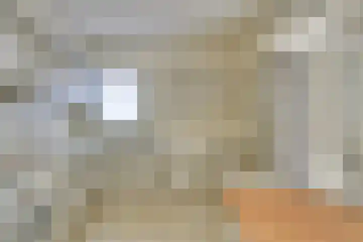 Linde 10 Mierlo thumbnail 19
