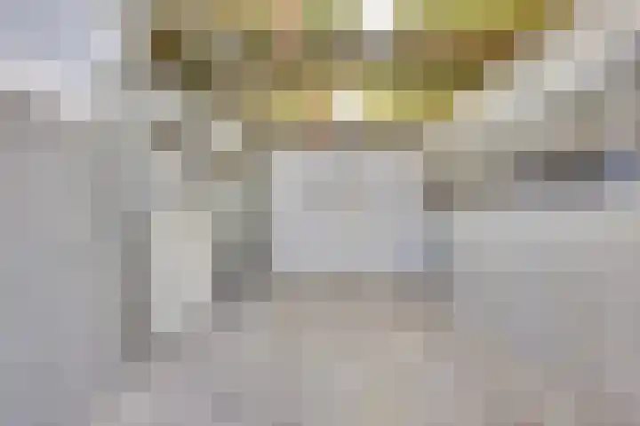 Linde 10 Mierlo thumbnail 24