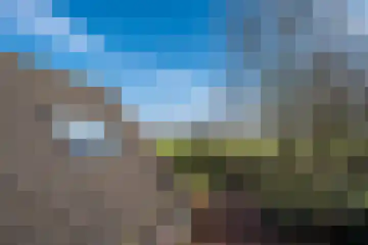 Linde 10 Mierlo thumbnail 31