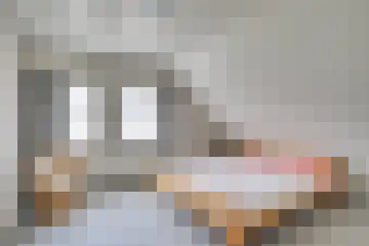 Linde 10 Mierlo thumbnail 36