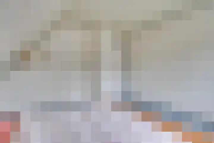 Linde 10 Mierlo thumbnail 37