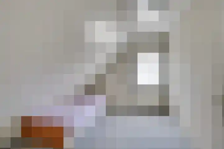 Linde 10 Mierlo thumbnail 38