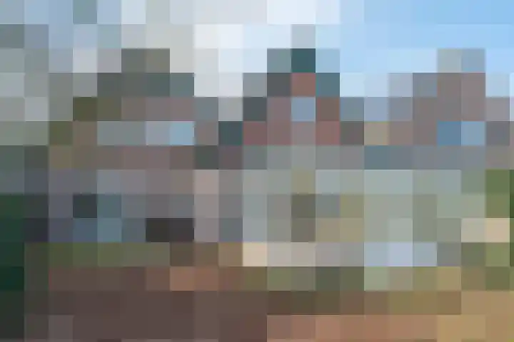 Linde 10 Mierlo thumbnail 46