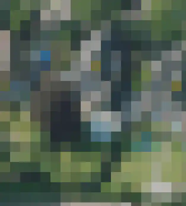 Linde 10 Mierlo thumbnail 49