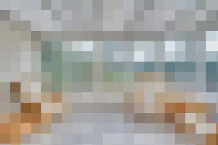 Linde 10 Mierlo thumbnail 5