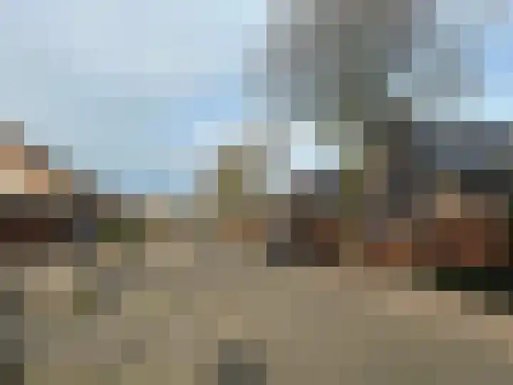 Linde 10 Mierlo thumbnail 8