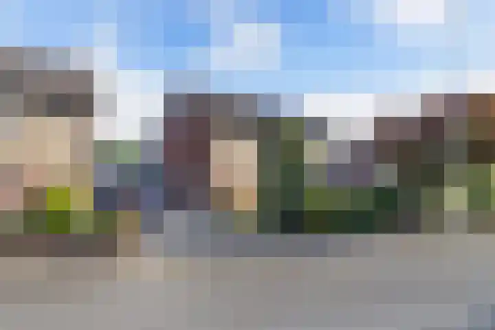 Linde 11 Drachten thumbnail 11