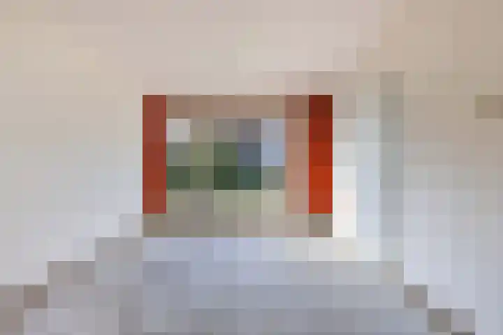 Linde 11 Drachten thumbnail 17