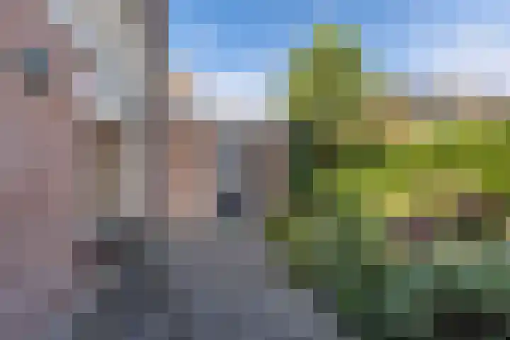 Linde 11 Drachten thumbnail 36
