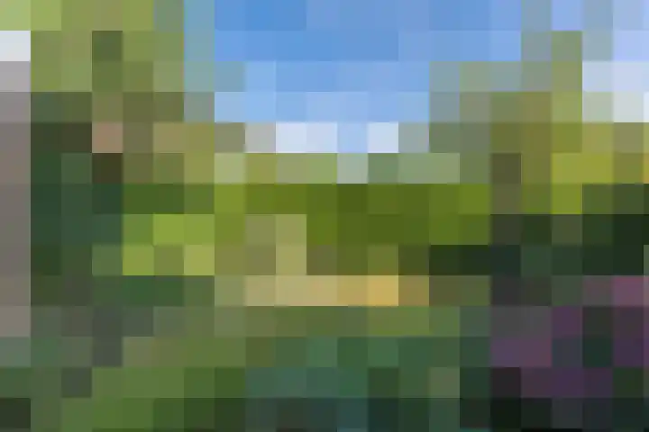 Linde 11 Drachten thumbnail 37