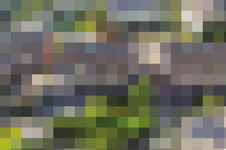 Linde 11 Drachten thumbnail 38