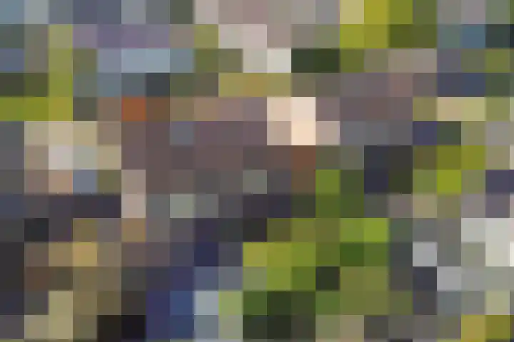 Linde 11 Drachten thumbnail 39