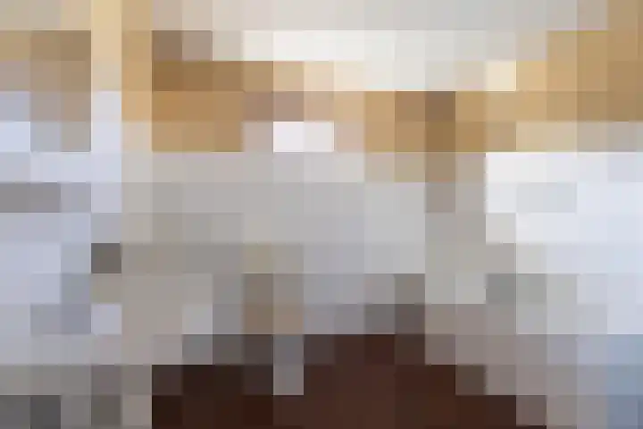 Linde 11 Drachten thumbnail 5