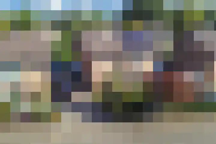 Linde 11 Drachten thumbnail 6