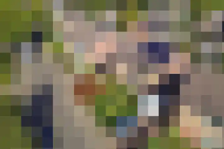 Linde 11 Drachten thumbnail 8