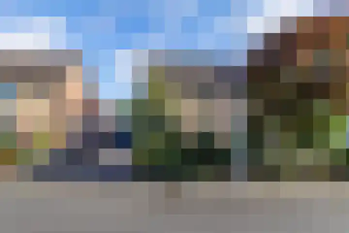 Linde 11 Drachten thumbnail 9