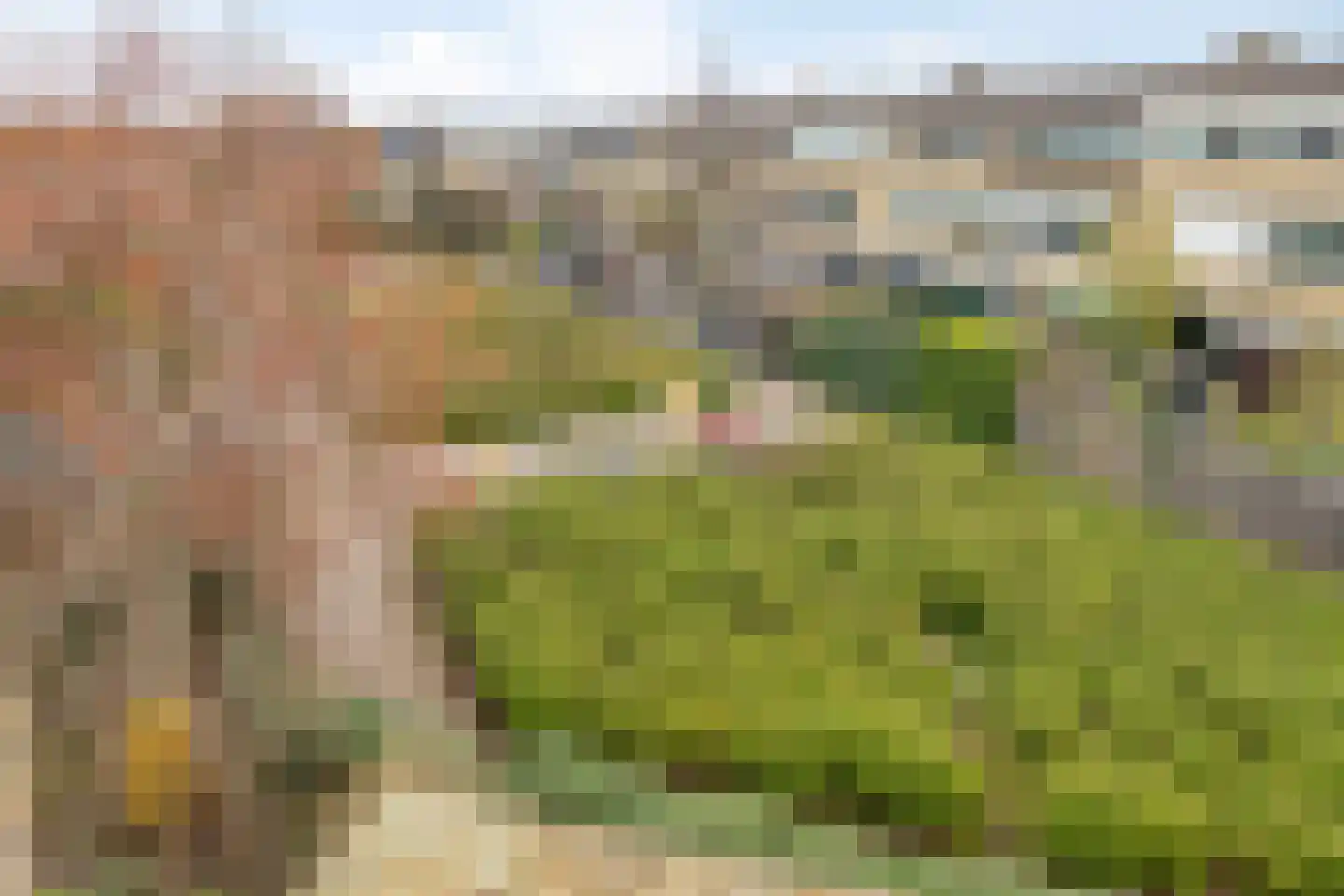 Linde 11 Krimpen aan den IJssel thumbnail 46