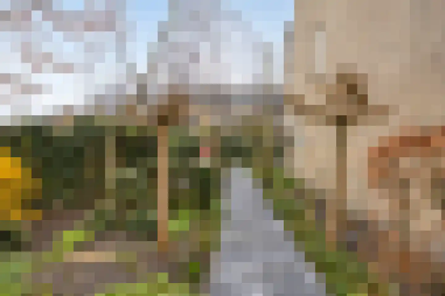 Linde 11 Krimpen aan den IJssel thumbnail 52