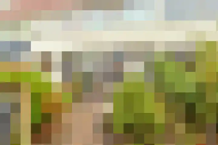 Linde 11 Naaldwijk thumbnail 29