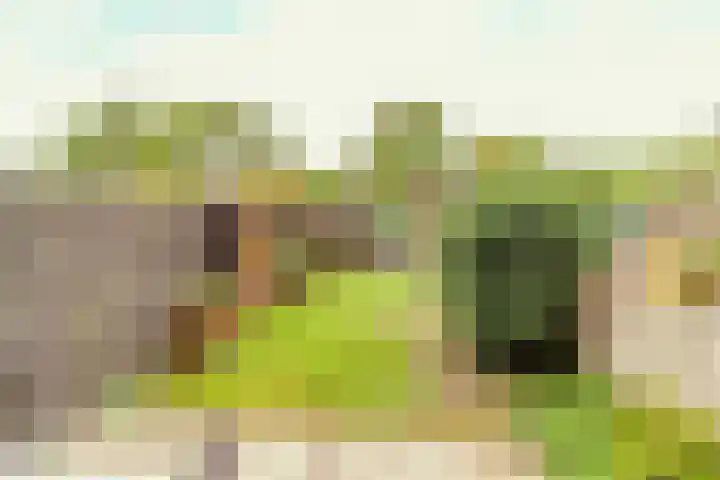 Linde 11 Naaldwijk thumbnail 31